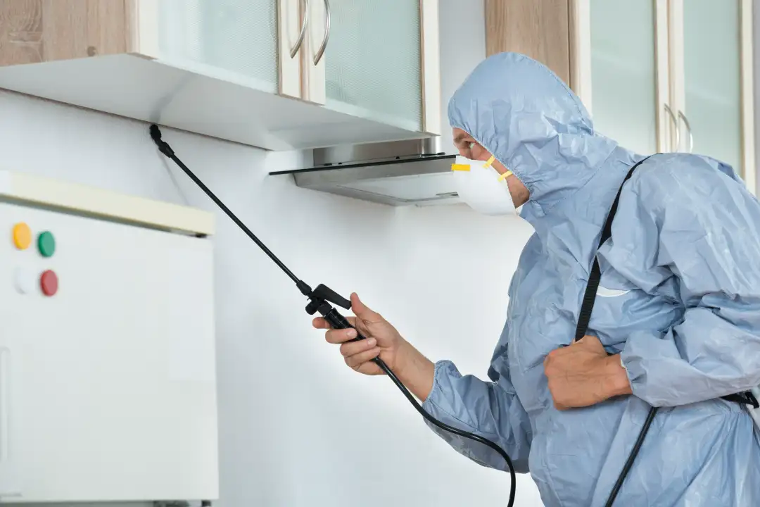 Pest Control Craigieburn